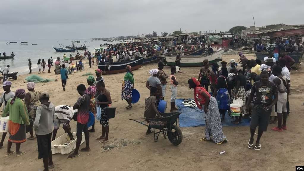 Crise na pesca artesanal em Angola com peixe a desaparecer