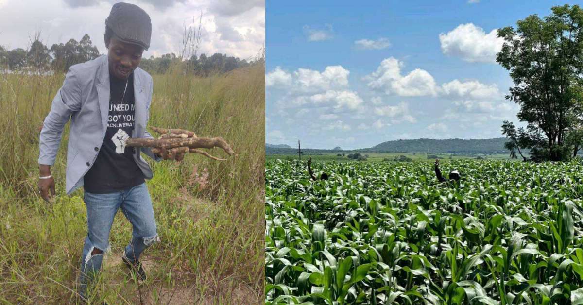 Agricultura em Angola
