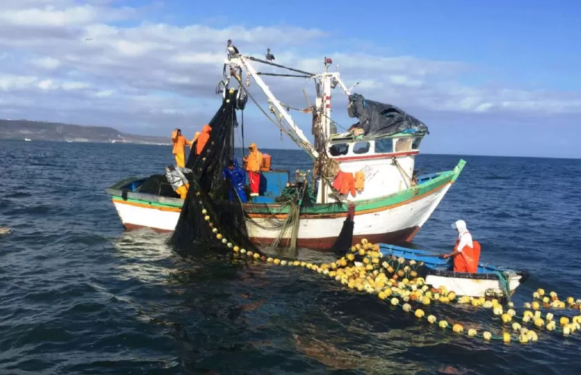 Falta de centro de apoio para a pesca artesanal periga qualidade do pescado