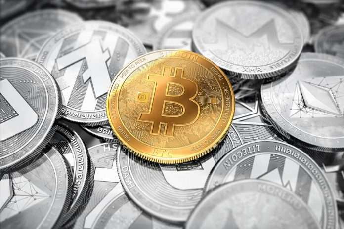 gestor da comunidade Bitcoin Angola
