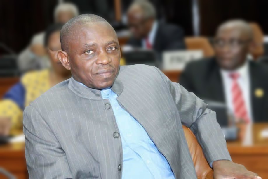 O salário mínimo em angola e o governo do MPLA - Kamalata Numa