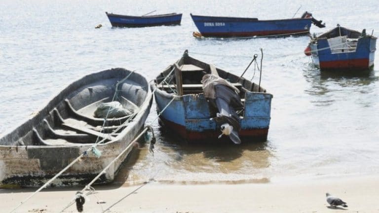 Funcionários do Ministério das Pescas prometem greve para breve
