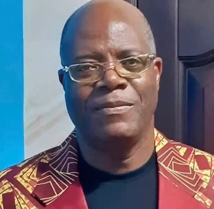 David Mendes, a fraude em pele de advogado - Graça Campos