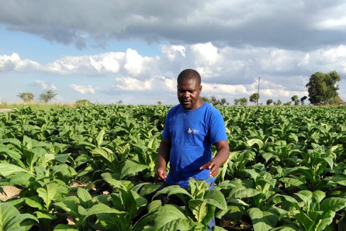 Grupo Carrinho anuncia grande projeto agrícola em África com apoio dos EUA