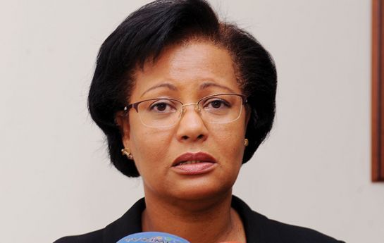 Ana Paula de Carvalho alega que “herdou” Ministério do Ambiente “quase sem património”, mas teve um orçamento de cerca de 14 mi milhões de kwanzas