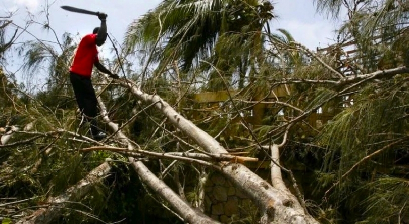 Cabinda: Angola discute estratégias para travar a desflorestação e proteger a biodiversidade