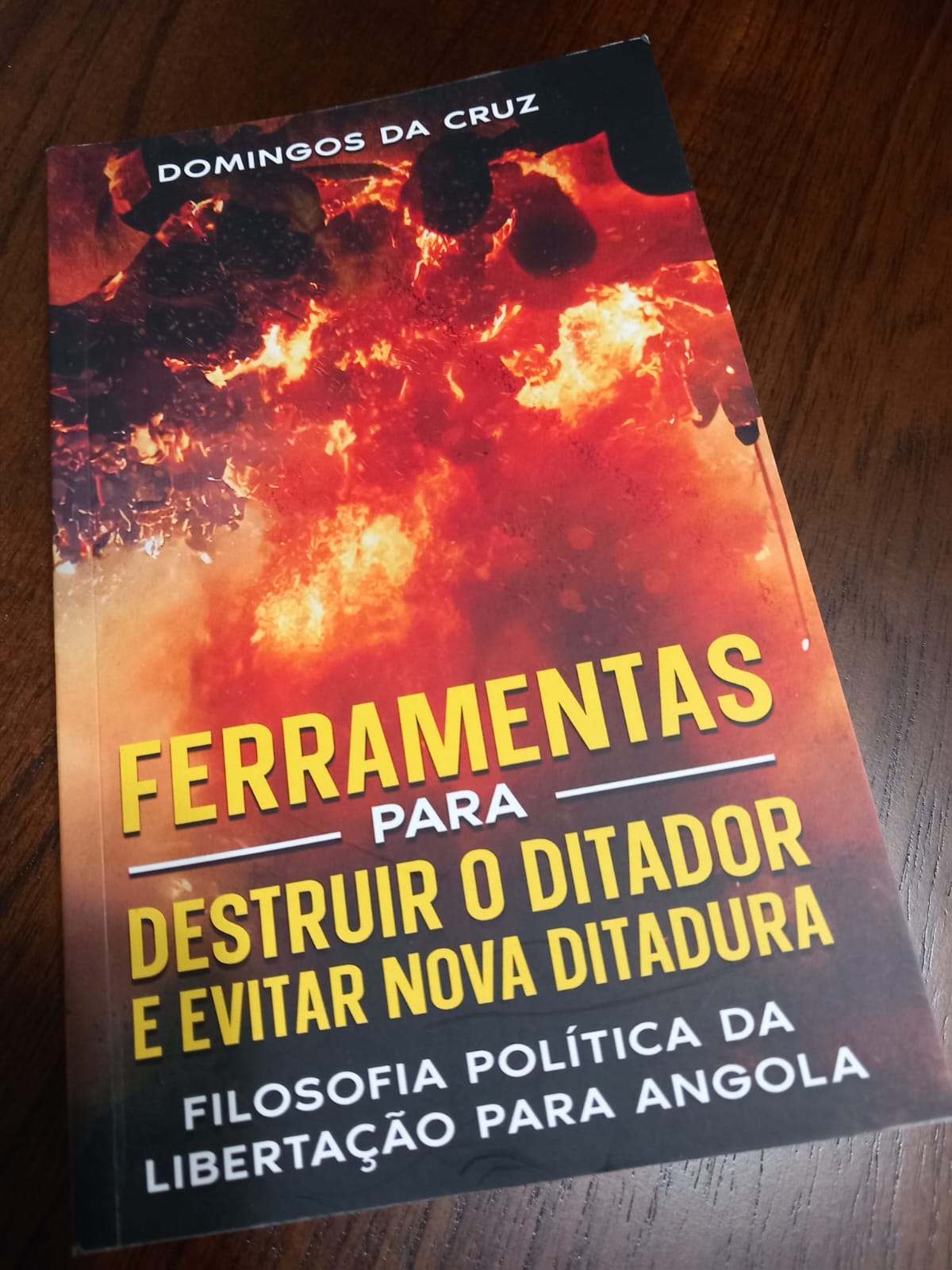 O livro "Ferramentas para Destruir o Ditador e Evitar Nova Ditadura" - Domingos da Cruz