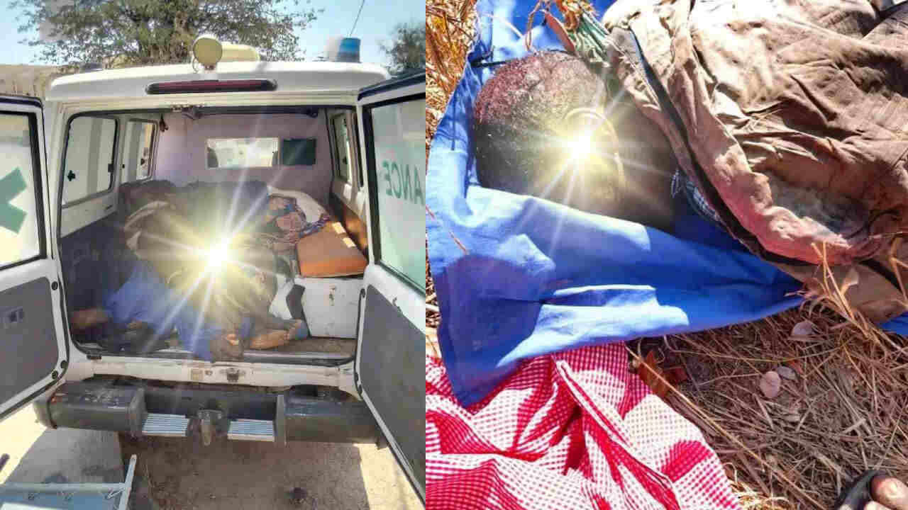 Namibe: Archer Mangueira perde controlo do conflito entre Muhumbi e Mucubais, que resulta em várias vítimas mortais