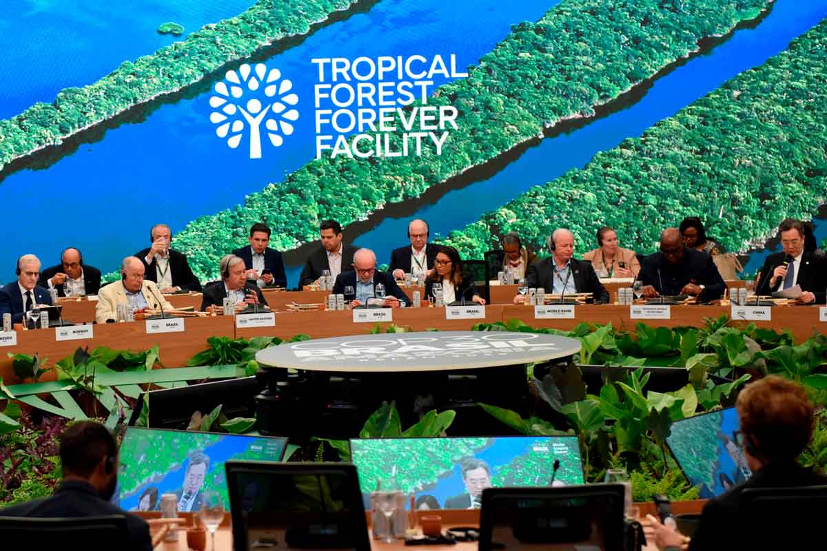 Organizações ambientalistas portuguesas divididas quanto a resultados da COP30 no Brasil