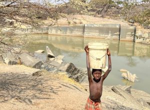 Dia do Clima: Minuto Verde apela a compromisso nacional contra a seca no sul de Angola
