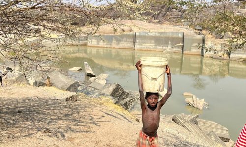 Dia do Clima: Minuto Verde apela a compromisso nacional contra a seca no sul de Angola